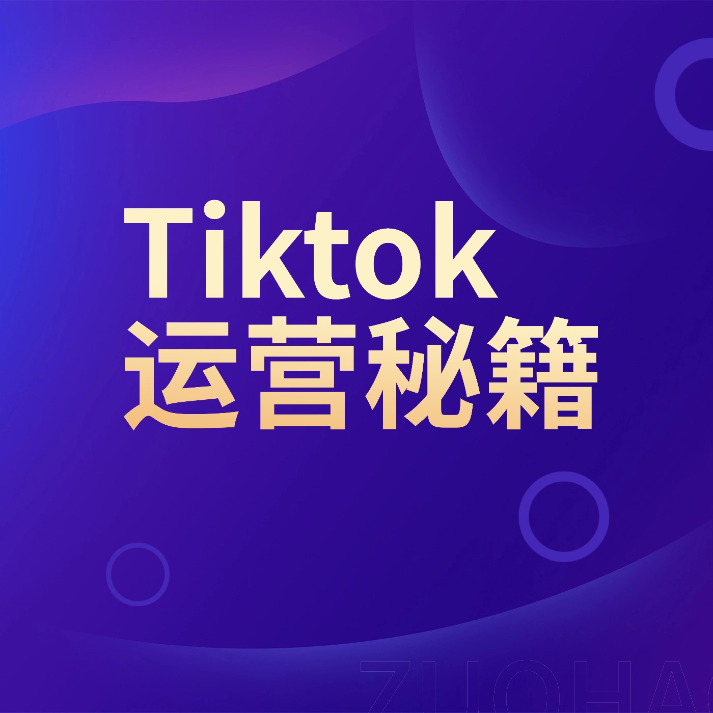 Tiktok__运营秘籍 (1)