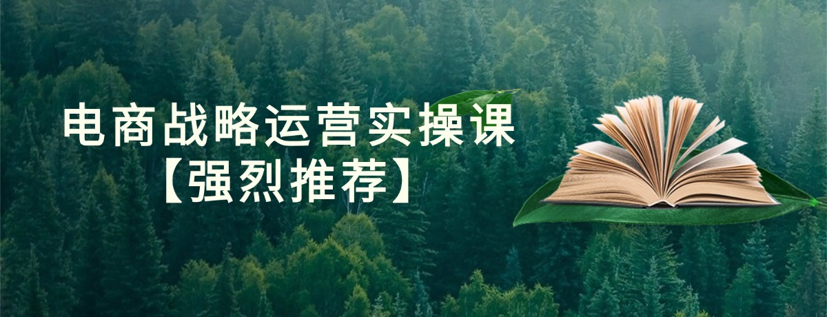 电商战略运营实操课【强烈推荐】